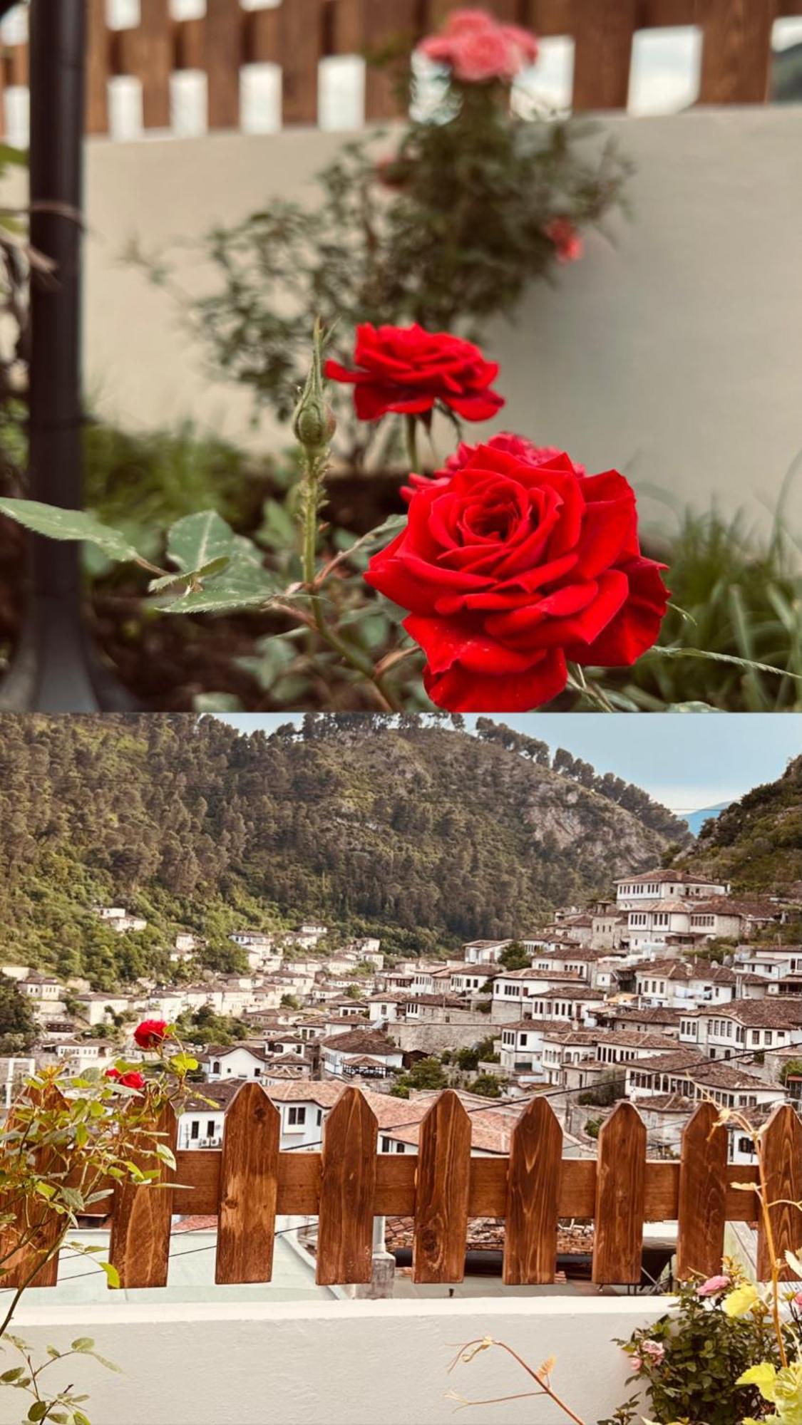 Villa Dona Berat Esterno foto